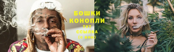 ГАЛЛЮЦИНОГЕННЫЕ ГРИБЫ Аркадак