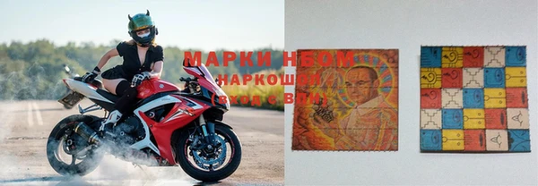 ГАЛЛЮЦИНОГЕННЫЕ ГРИБЫ Аркадак