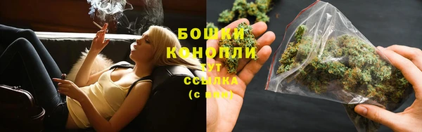ГАЛЛЮЦИНОГЕННЫЕ ГРИБЫ Аркадак