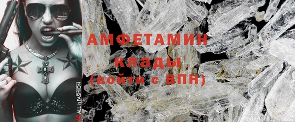 ГАЛЛЮЦИНОГЕННЫЕ ГРИБЫ Аркадак